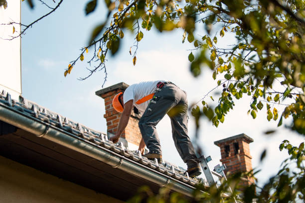Best Roof Gutter Cleaning  in Henderson, NC