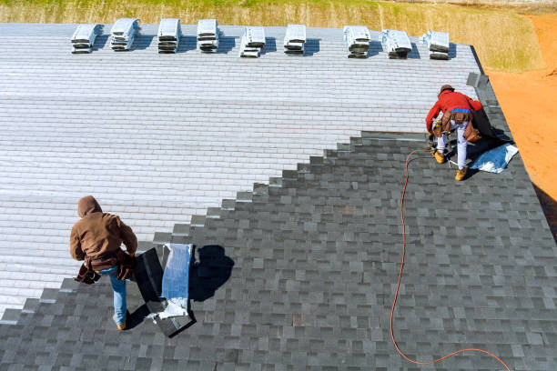 Best Metal Roofing Contractor  in Henderson, NC