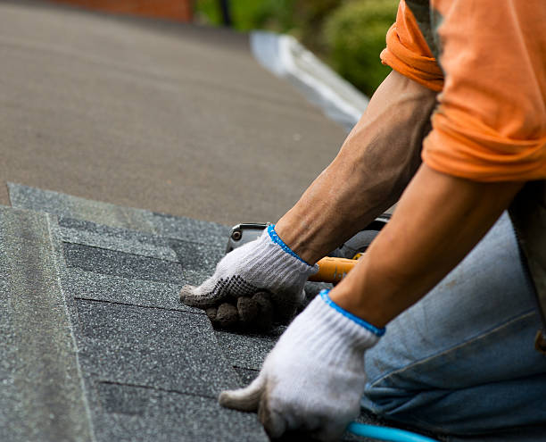 Roof Gutter Cleaning in Henderson, NC